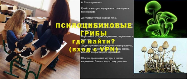 крисы Наволоки